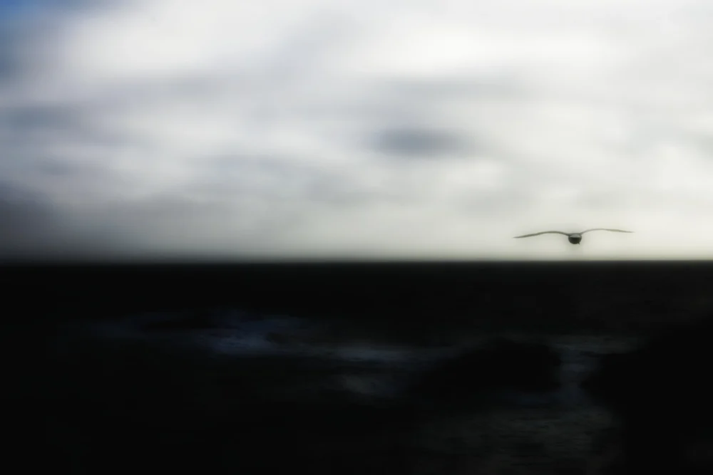 Images for Peace | SeeingHappy
